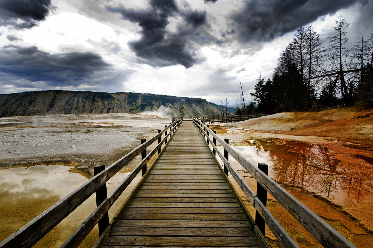 Bridge